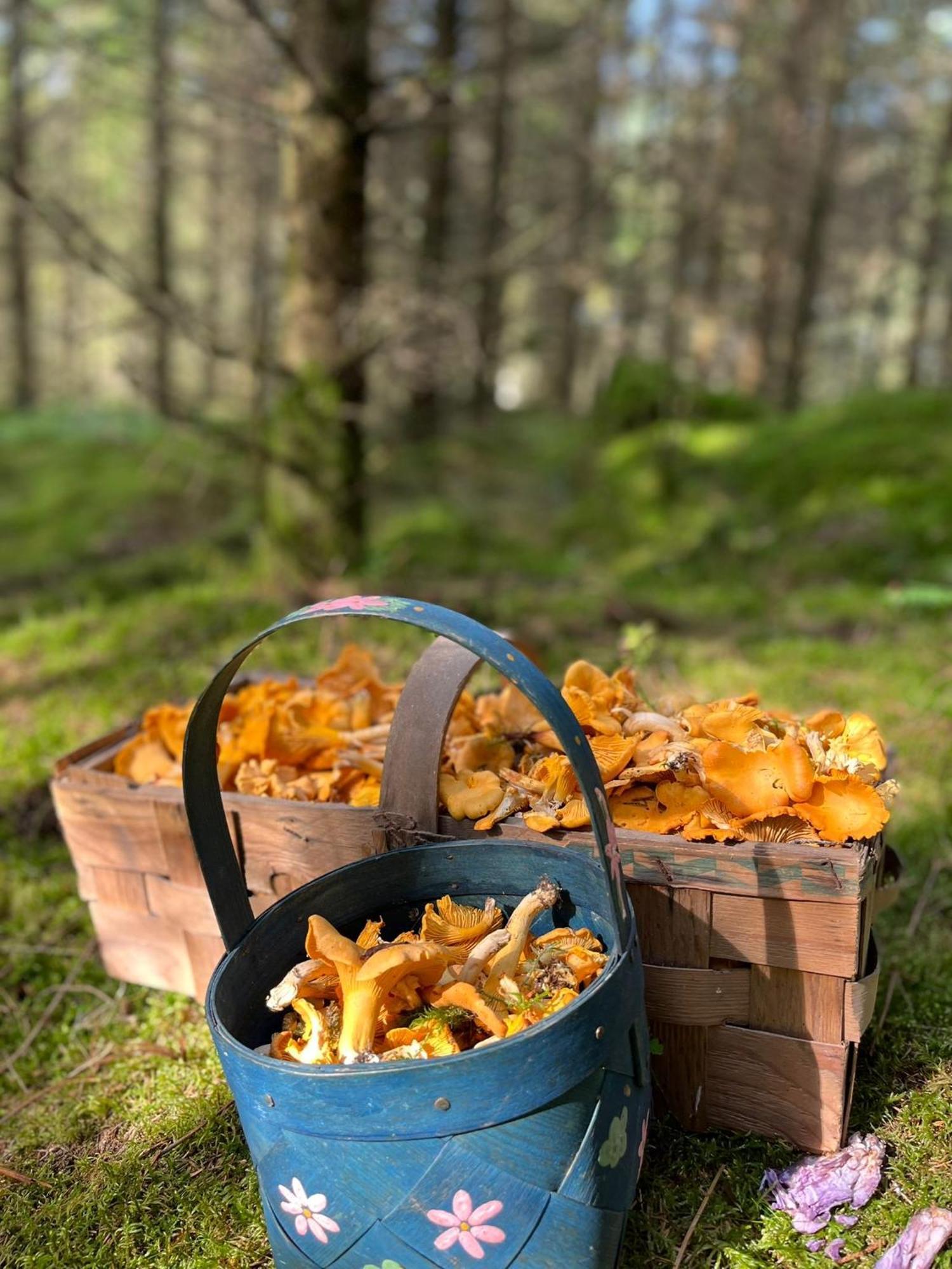 Blueberry Hill Villa Skånes Fagerhult Eksteriør bilde